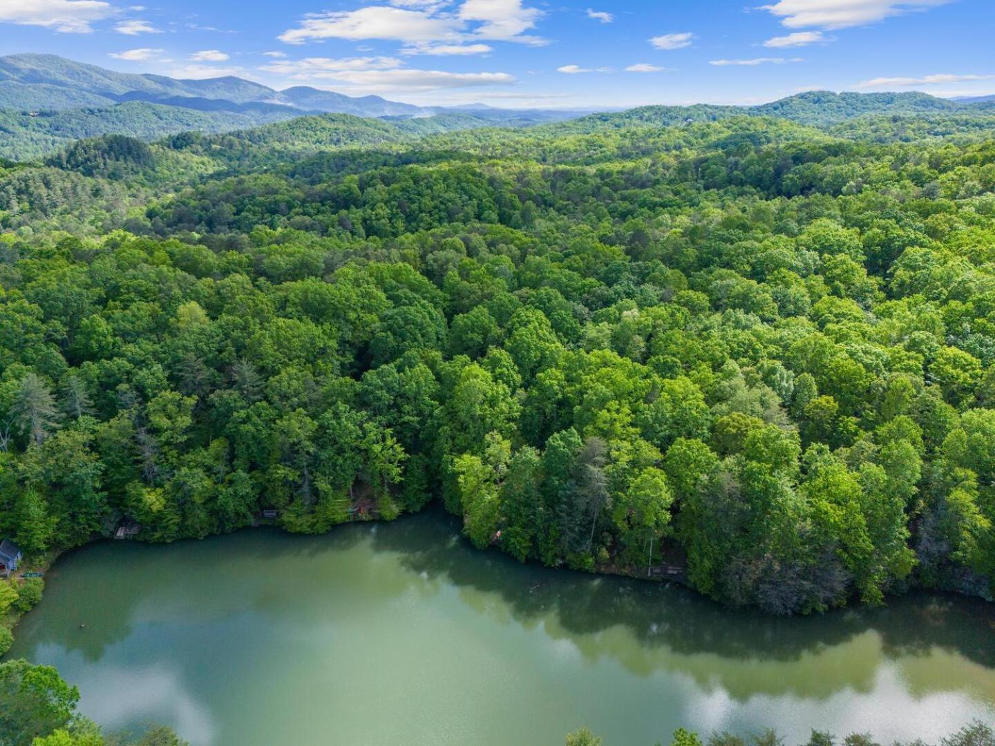 Cherry Lake Hideaway Blue Ridge Ngoại thất bức ảnh